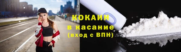 твердый Алексин