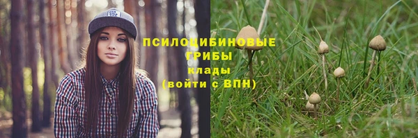 твердый Алексеевка