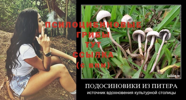 твердый Алексеевка