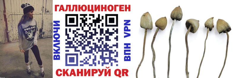 МЕГА как зайти Джанкой Галлюциногенные грибы Cubensis